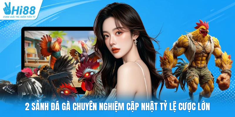 2 sảnh đá gà chuyên nghiệm cập nhật tỷ lệ cược lớn