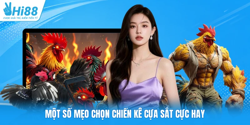 Một số mẹo chọn chiến kê cựa sắt cực hay