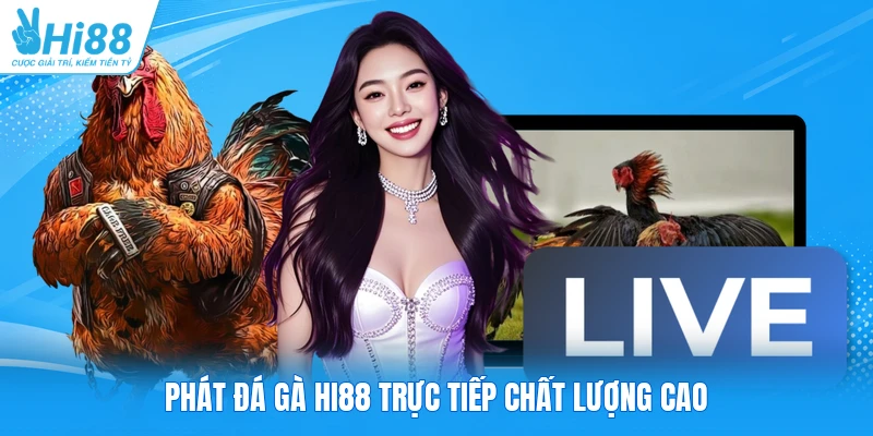 Phát đá gà Hi88 trực tiếp chất lượng cao