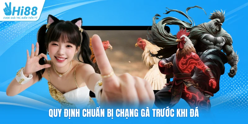 Quy định chuẩn bị chạng gà trước khi đá